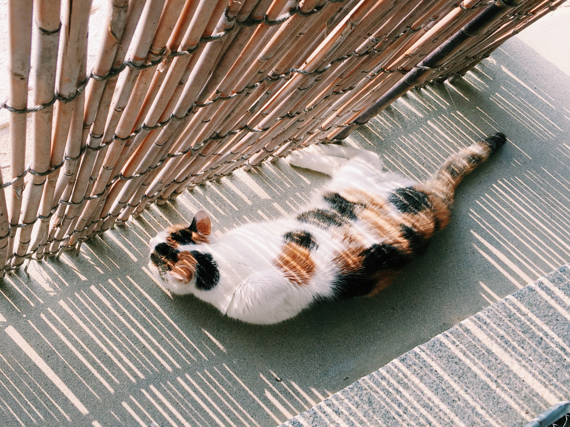 メインビジュアル1