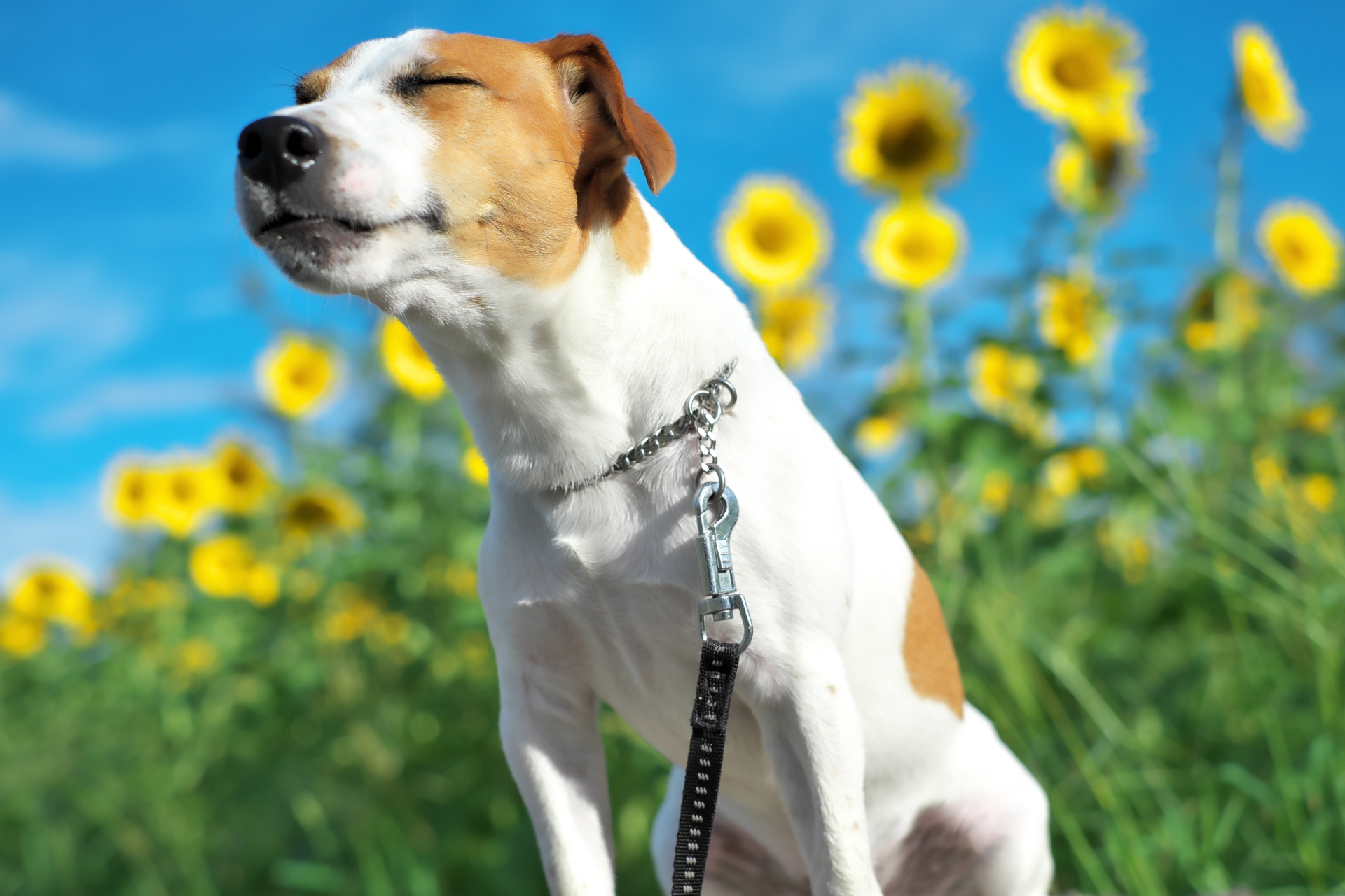 メインビジュアル1