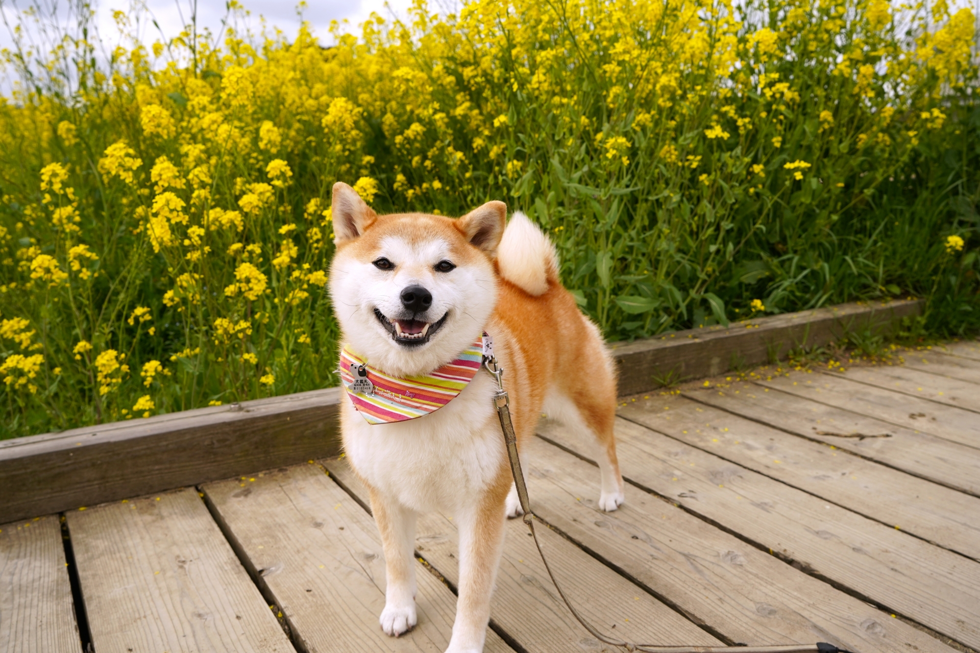 メインビジュアル1